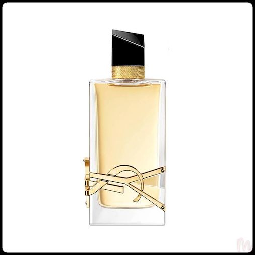 libre ysl